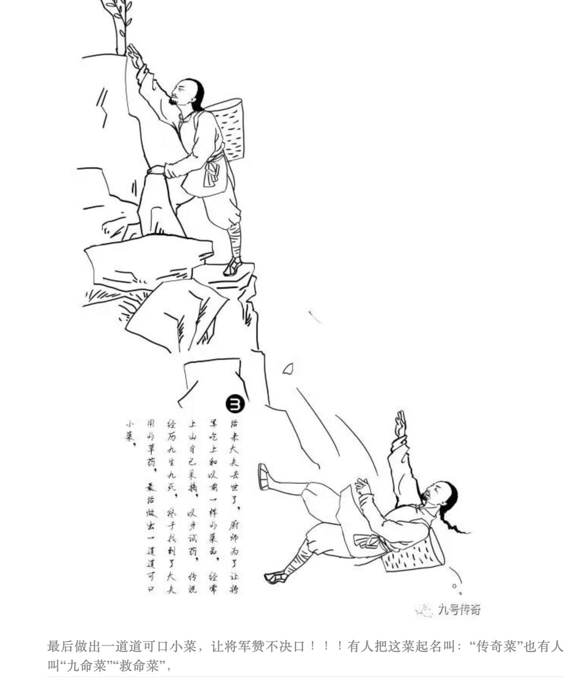 厨师上山采药以身试药