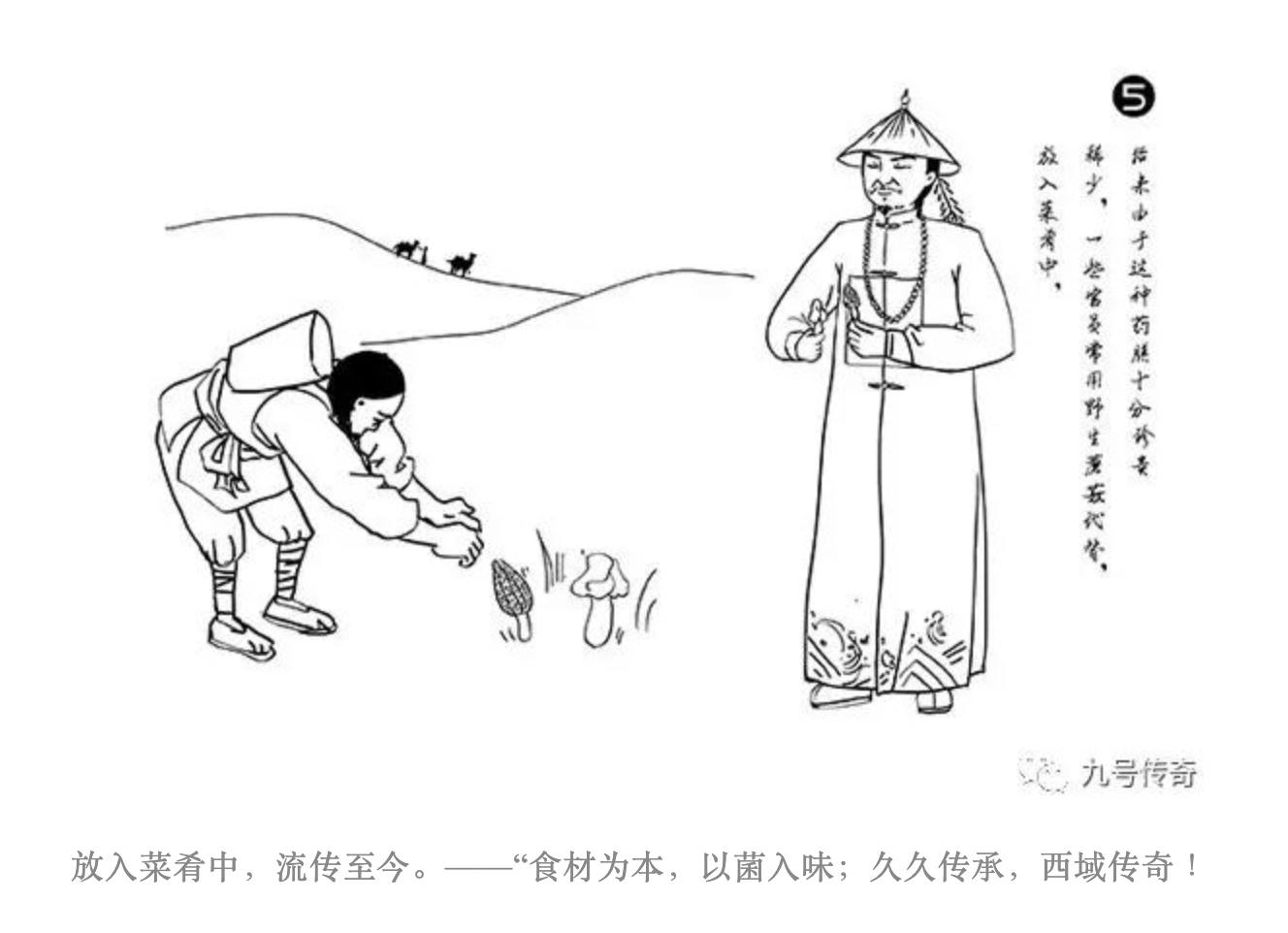 以野生蘑菇代替珍药入馔